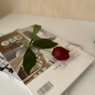 گیفت شمع گل لاله با ساقه و برگ - تصویر 5